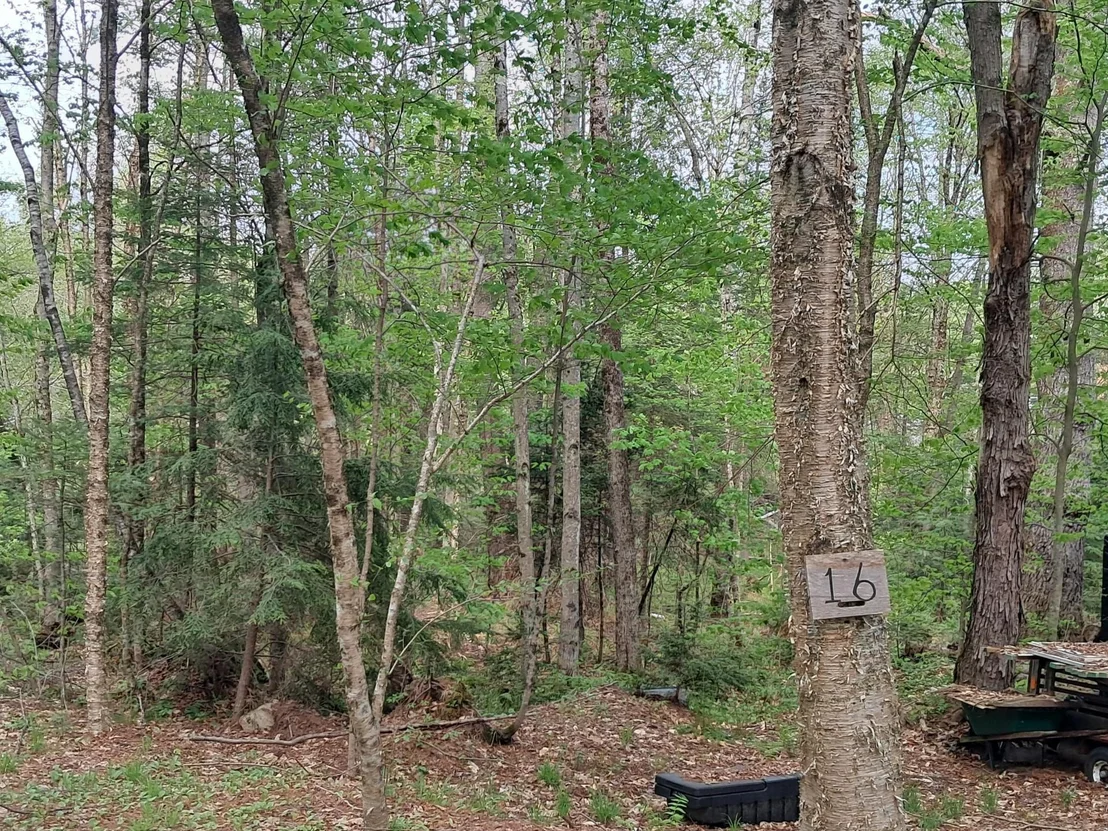 Photo of 16 Aspen