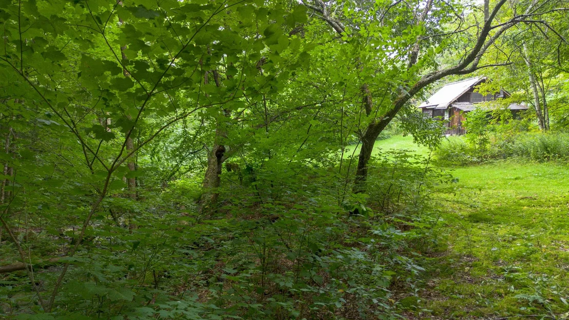 Photo of 3465 Lamb Hill