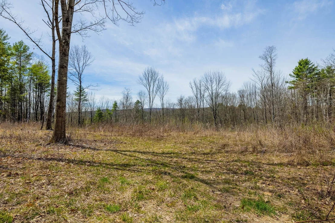 Photo of 00 Olcott