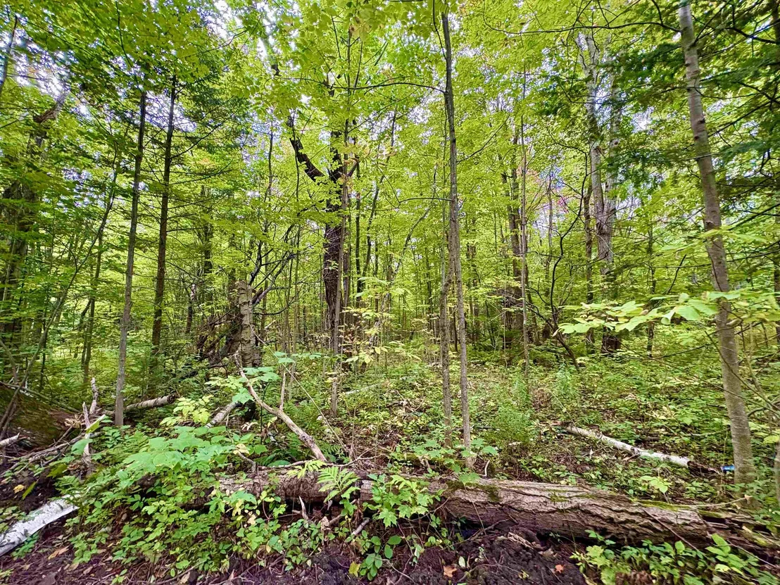 Photo of 0 Partridge Hollow