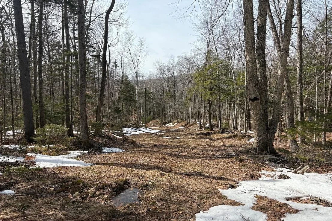 Photo of 360 Dorman