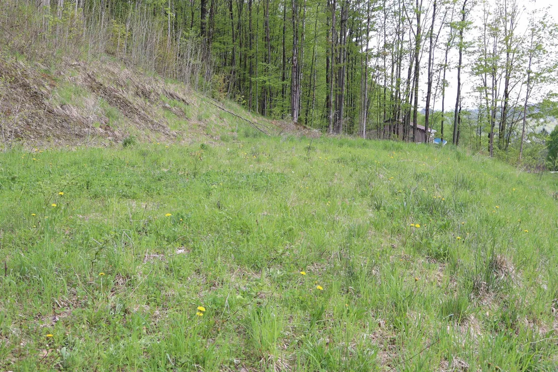 Photo of Unit LOT9 at 9 Maplewood