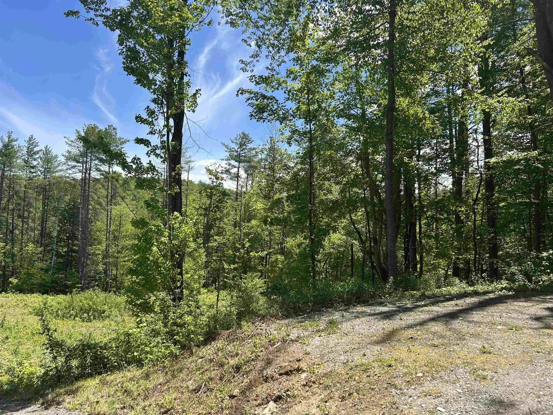 Photo of 14 Sugar Lot