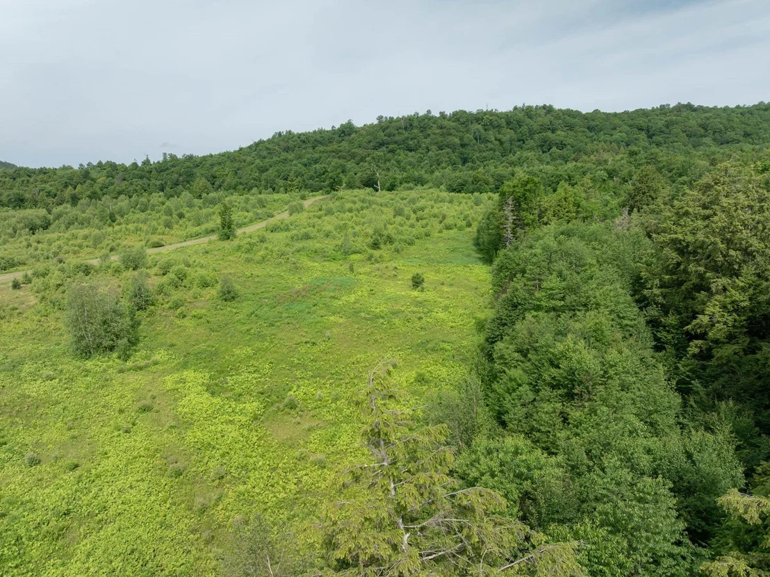 Photo of Unit LOT2 at 00 Birch Tree