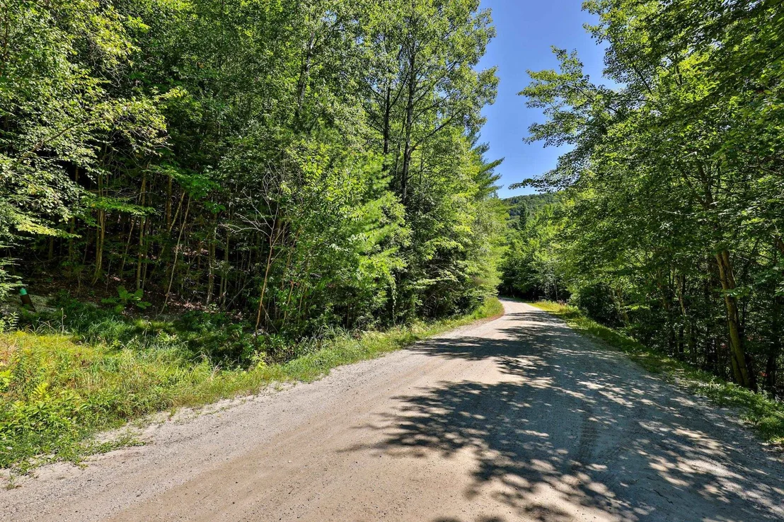 Photo of Lot 49 Spring