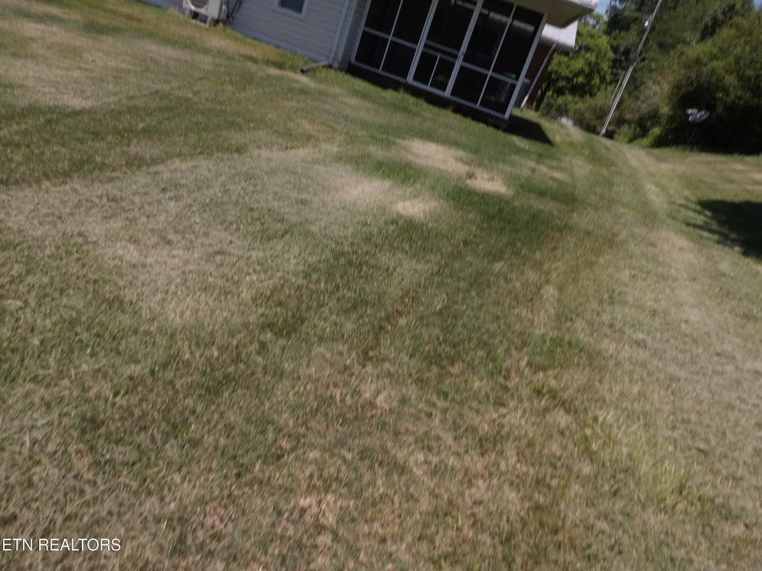 Photo of 188 White Ave