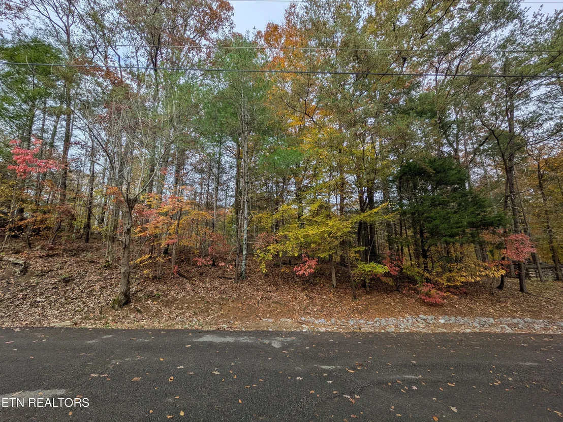 Photo of 517 Clearwater Circle