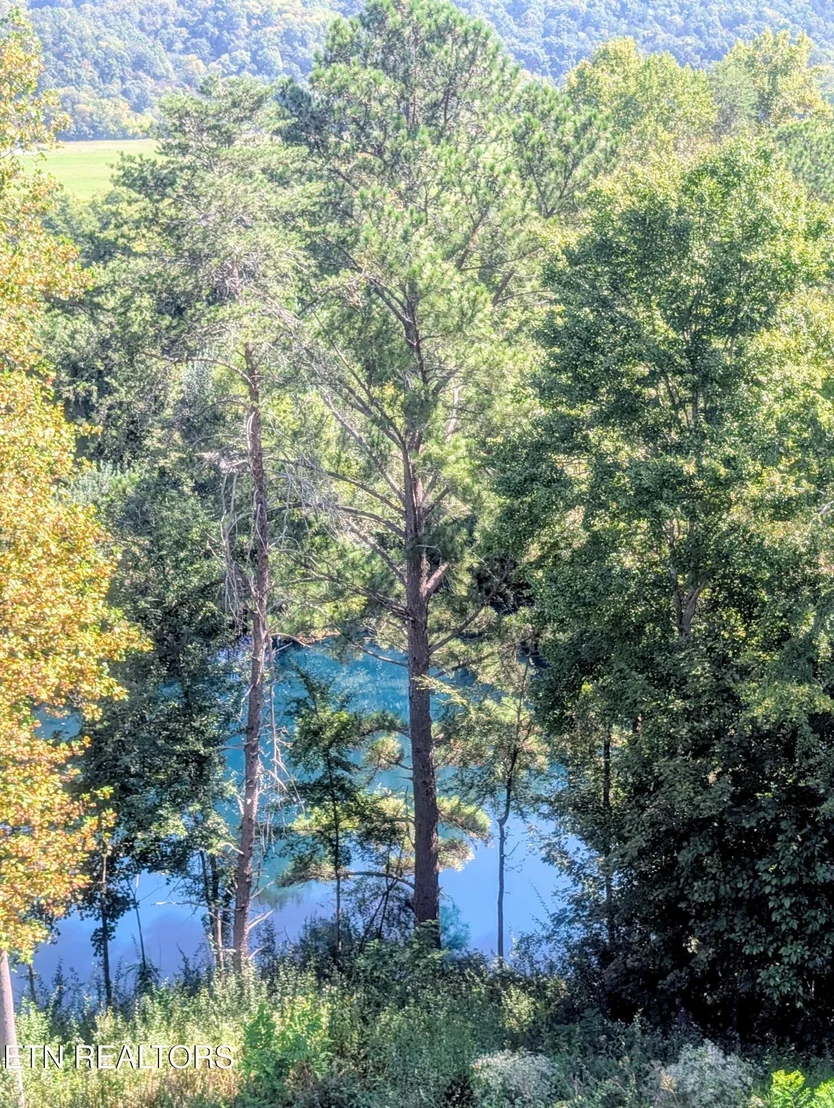 Photo of 1720 Mountain Drive