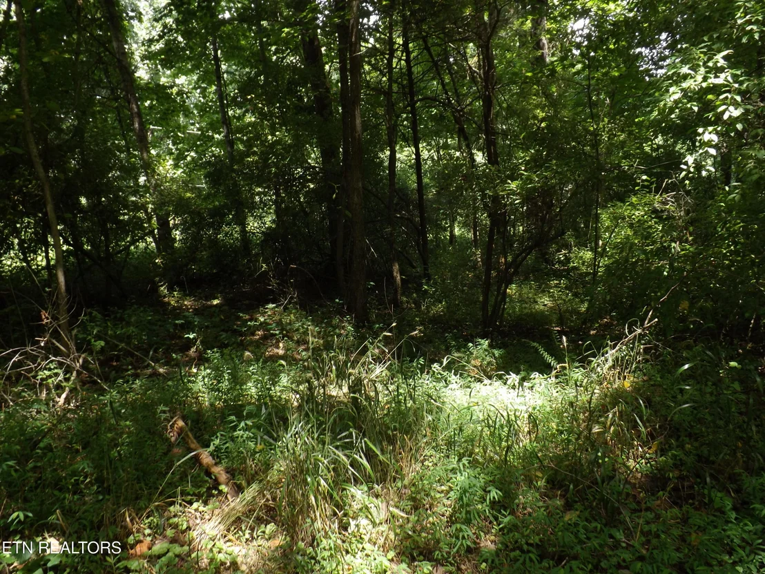 Photo of 5075 E Highway 25E
