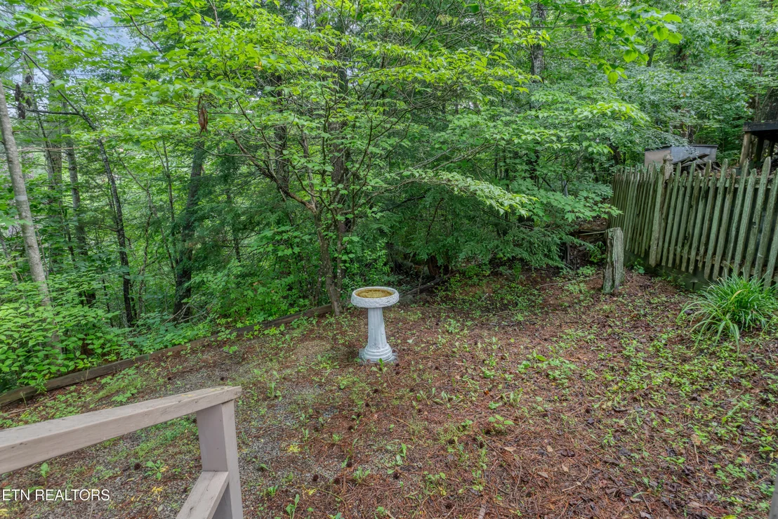 Photo of 419 Mountain Thrush Drive