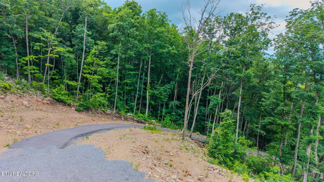 Photo of 1038 Clingmans View