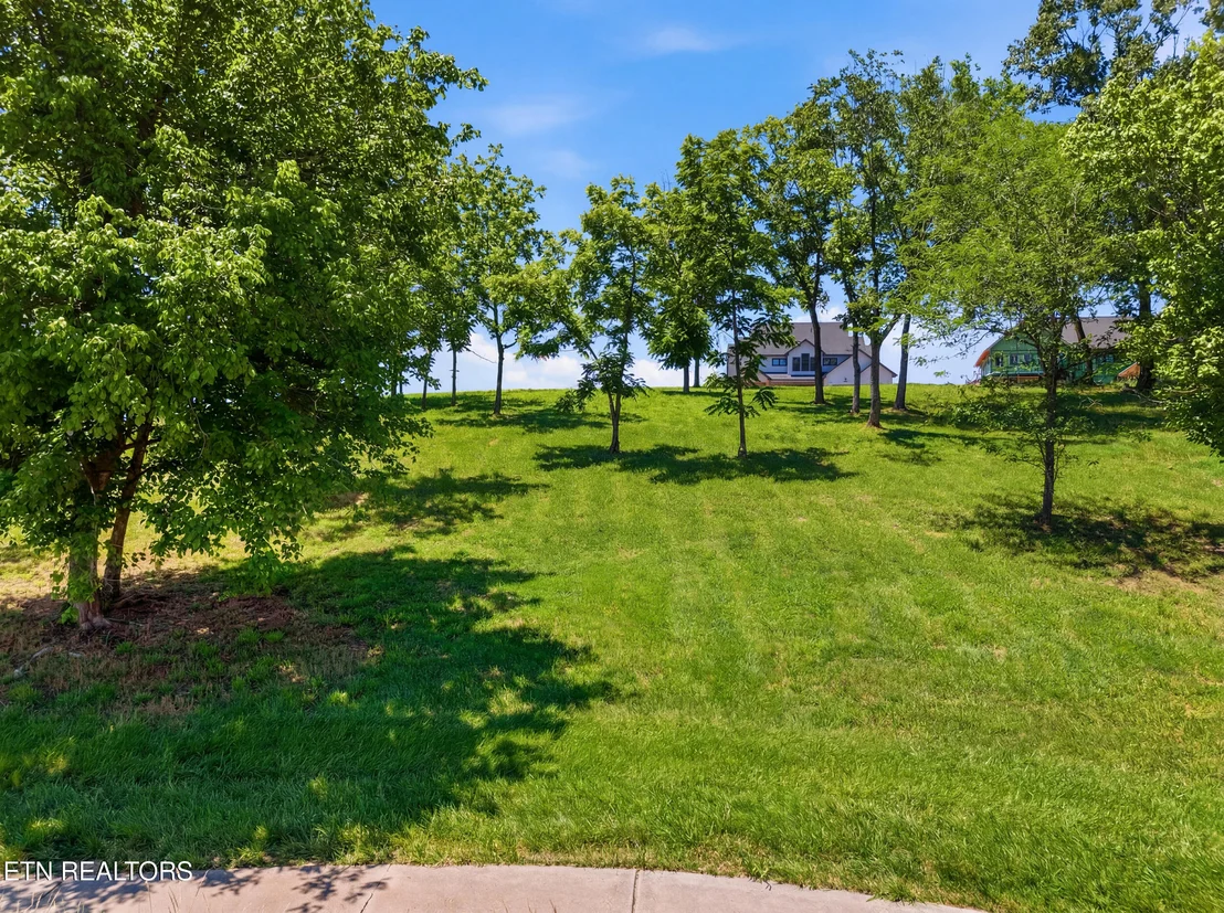 Photo of 903 Mockingbird Lane