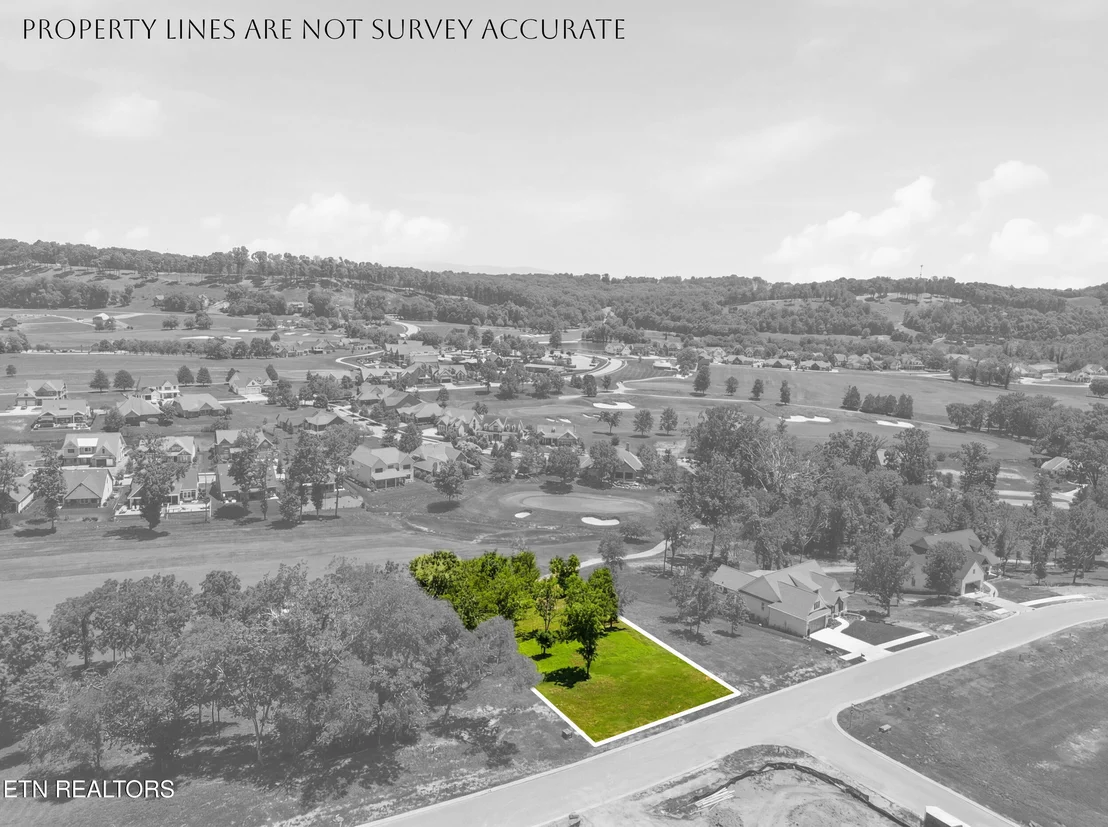 Photo of 903 Mockingbird Lane