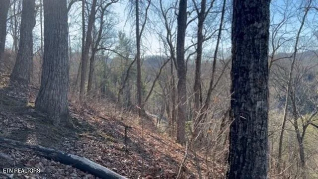 Photo of 2353 Headrick Lead