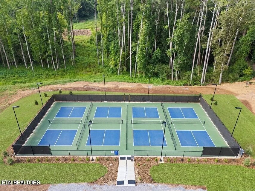 Photo of 511 Mockingbird Lane
