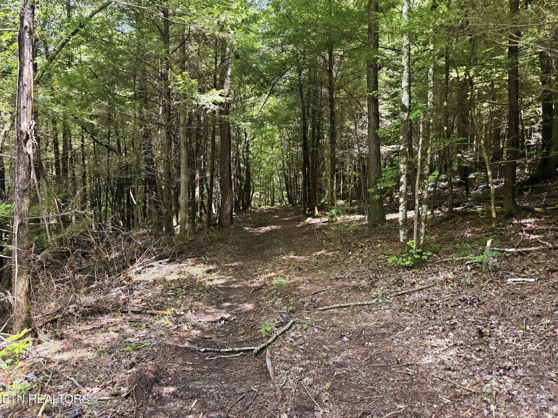 Photo of Twin Bridge Rd