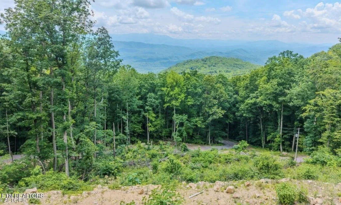 Photo of 1038 Clingmans View