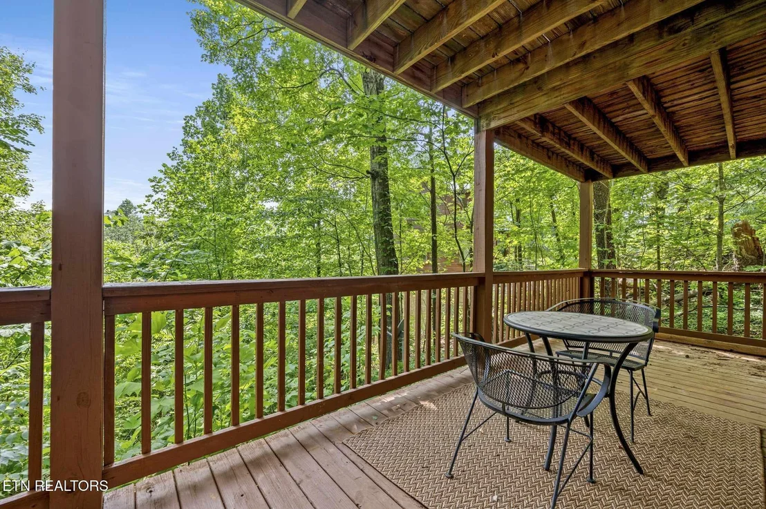 Photo of 1020 Ski View Lane