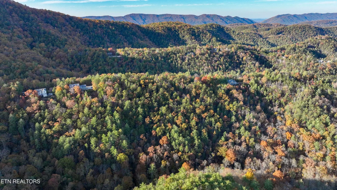 Photo of Bear Den Rd