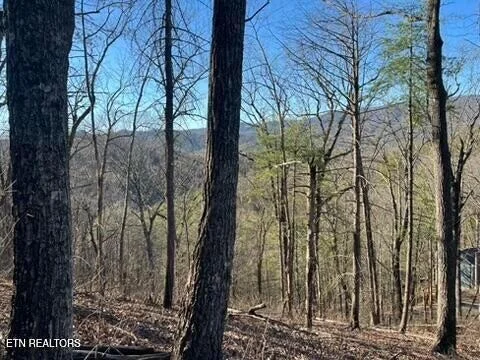 Photo of 2353 Headrick Lead