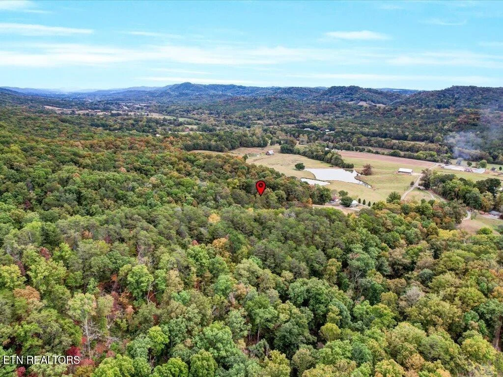 Photo of 434 Henry Clark Lane