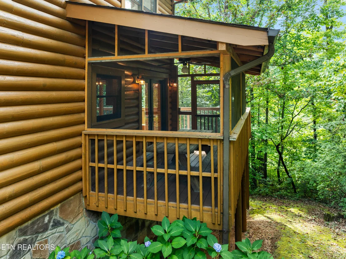 Photo of 3839 Saddle Brook Way