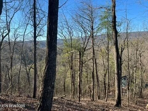 Photo of 2353 Headrick Lead