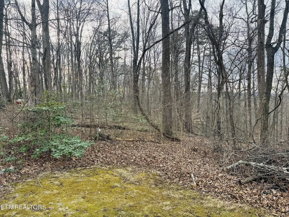 Photo of 106 Echo Valley Rd