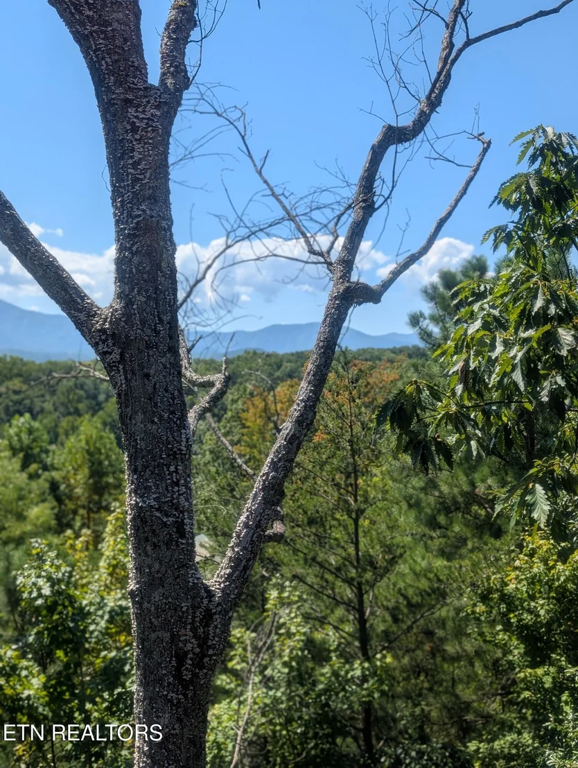 Photo of 2152 E View Drive