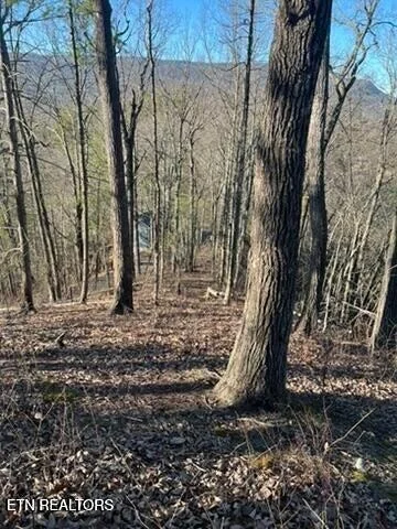 Photo of 2353 Headrick Lead