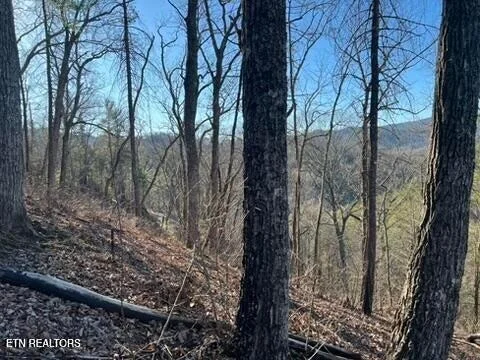 Photo of 2353 Headrick Lead