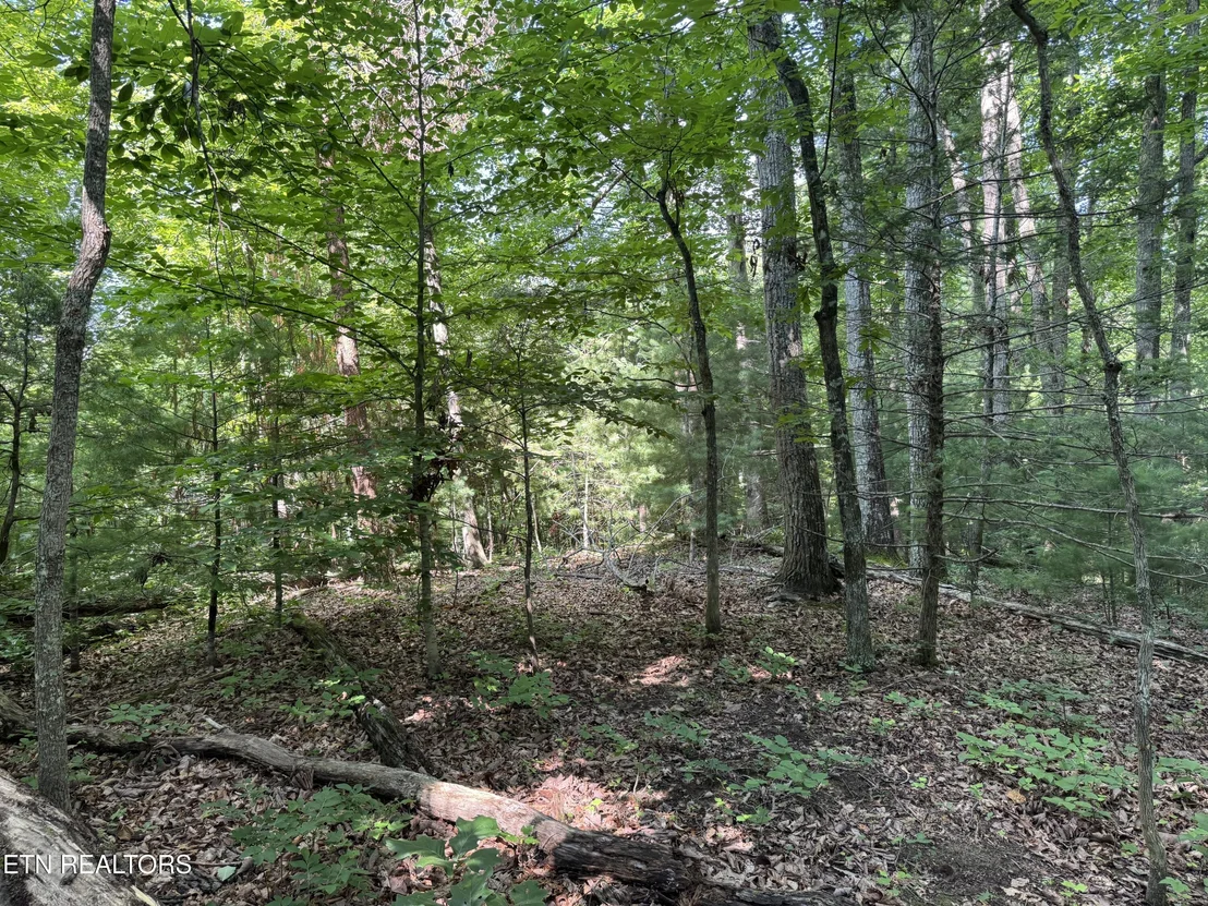 Photo of 332 Padgett Mill Rd