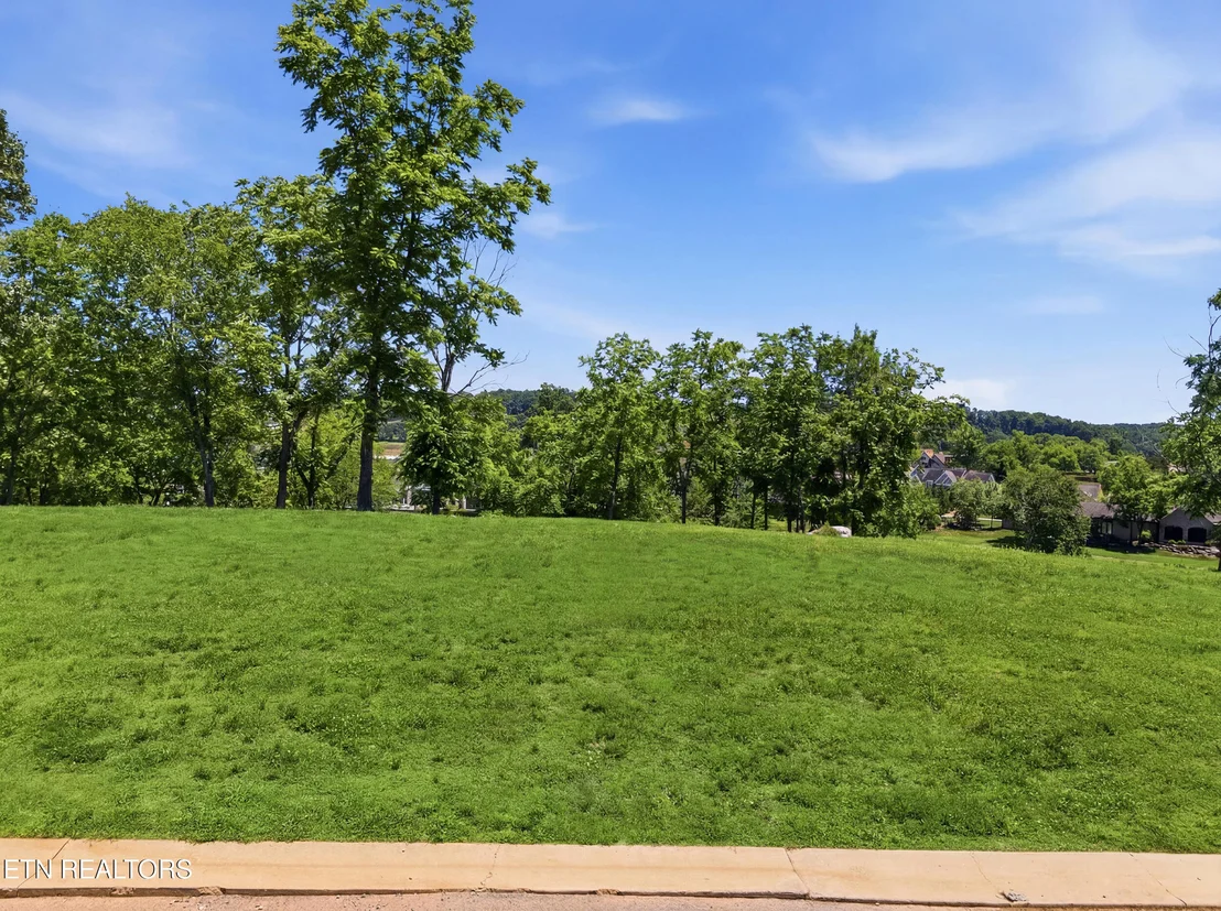 Photo of 903 Mockingbird Lane