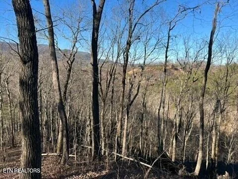 Photo of 2353 Headrick Lead