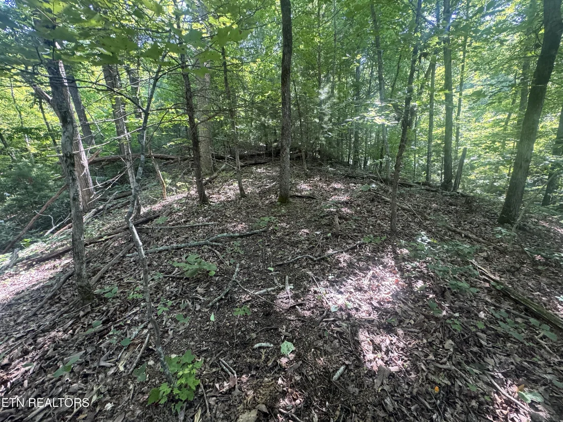 Photo of 332 Padgett Mill Rd