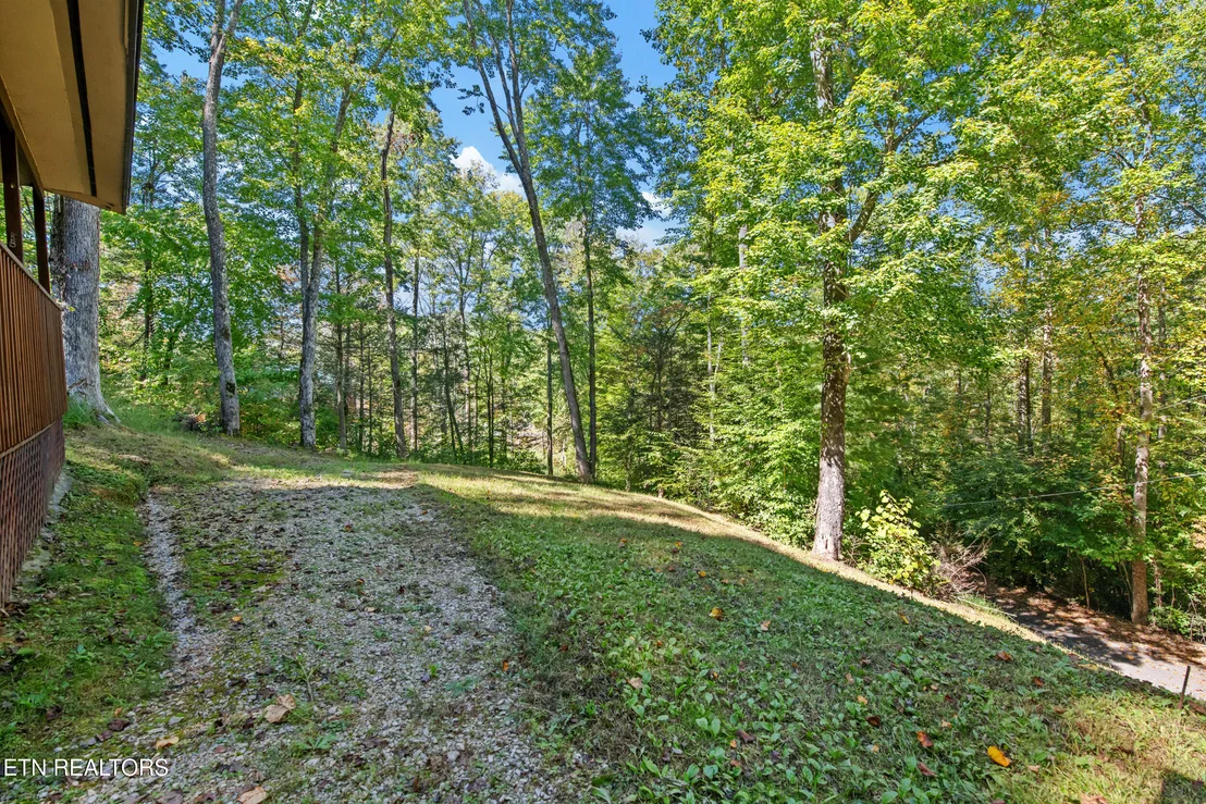 Photo of 3748 Ginseng Way