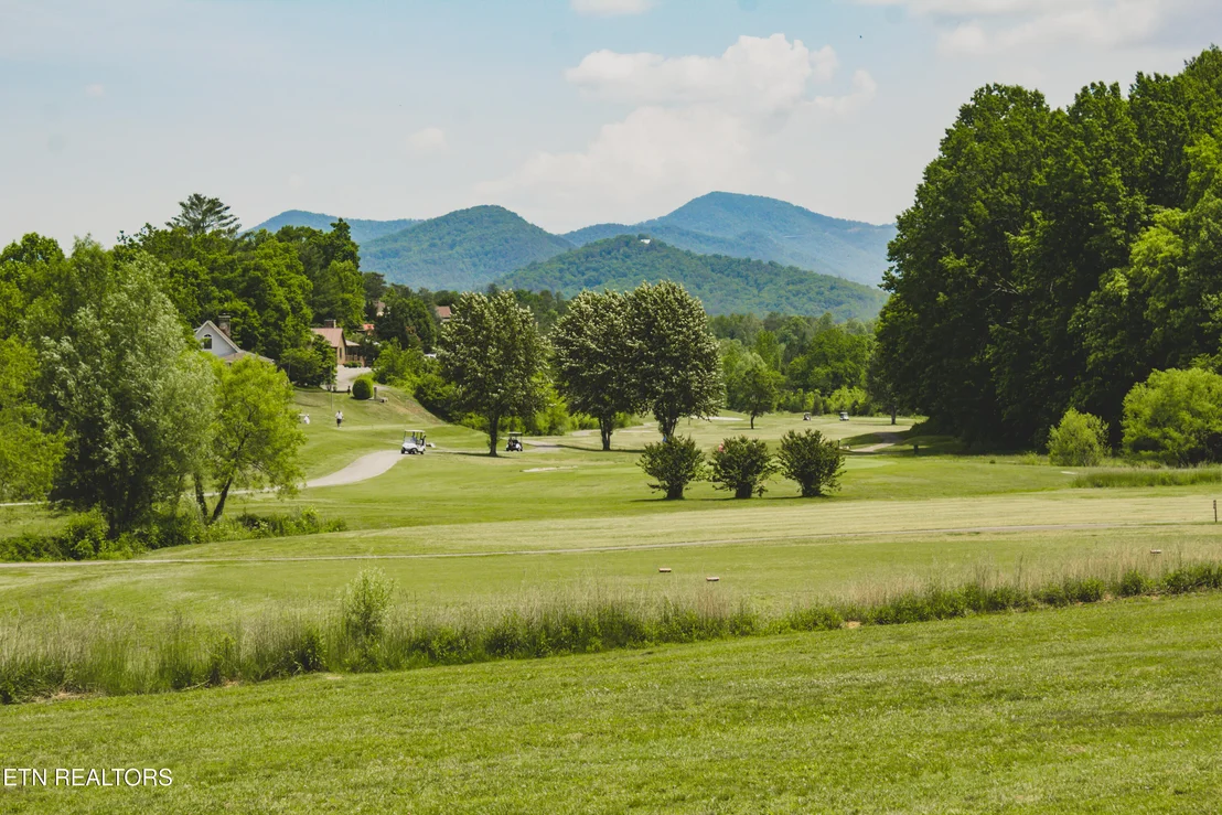 Photo of 196 Cold Springs Trace