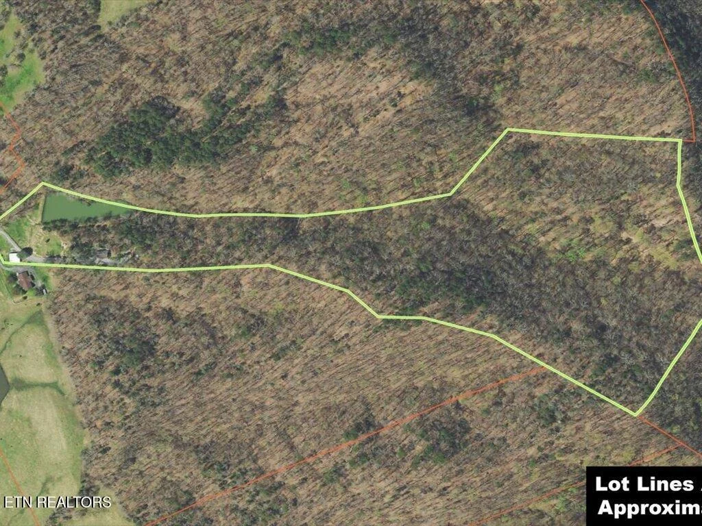 Photo of 434 Henry Clark Lane