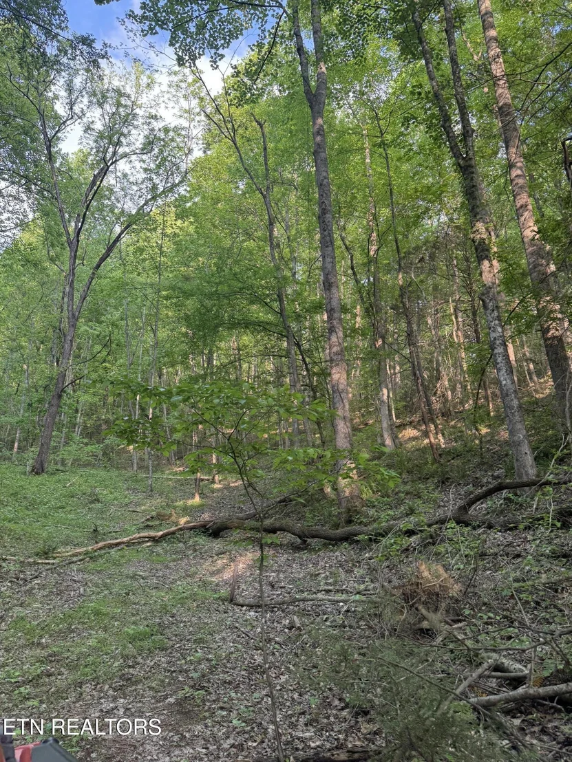 Photo of 332 Padgett Mill Rd
