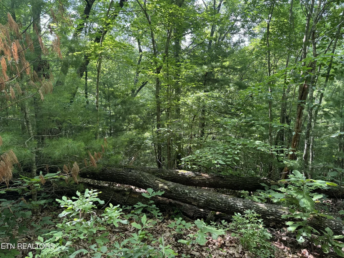 Photo of 332 Padgett Mill Rd