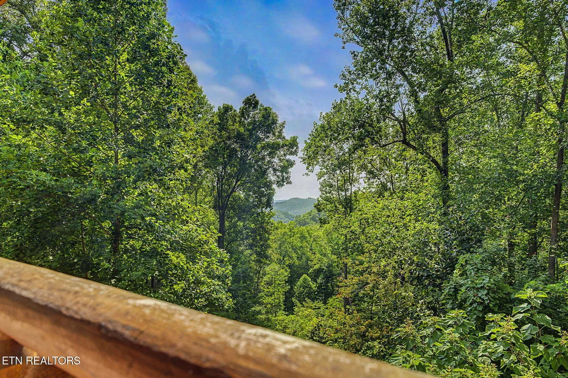 Photo of 4809 Settlers View Lane