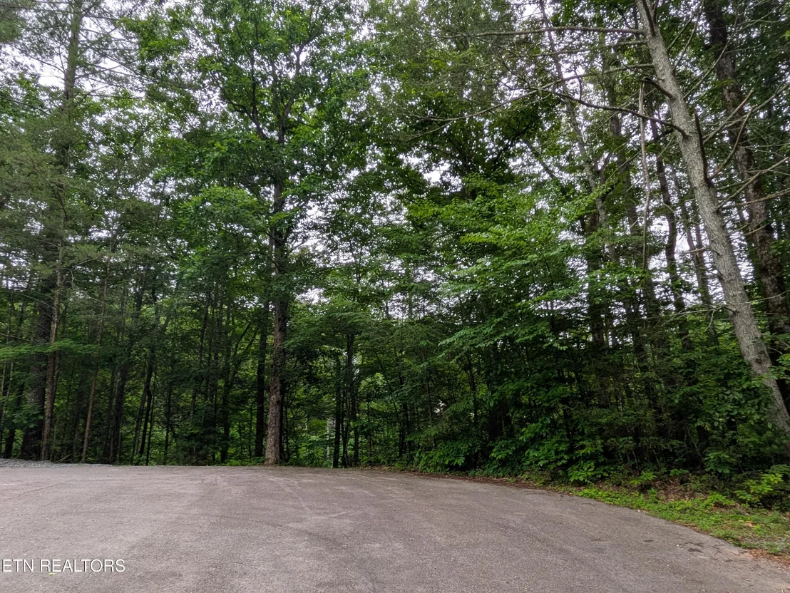 Photo of 438 Kurt's Corner Rd
