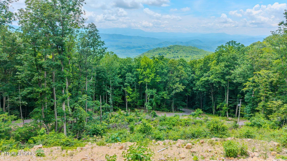 Photo of 1038 Clingmans View
