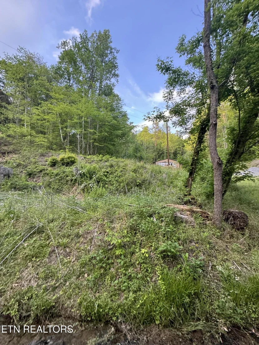 Photo of 332 Padgett Mill Rd