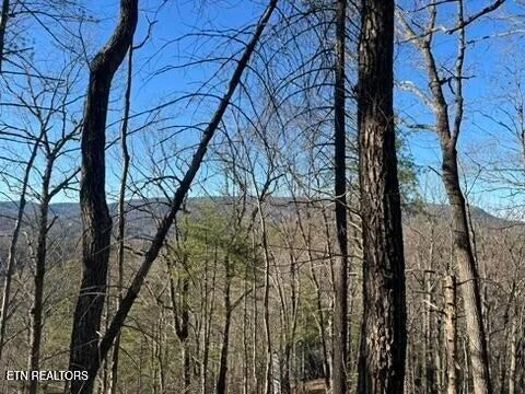 Photo of 2353 Headrick Lead