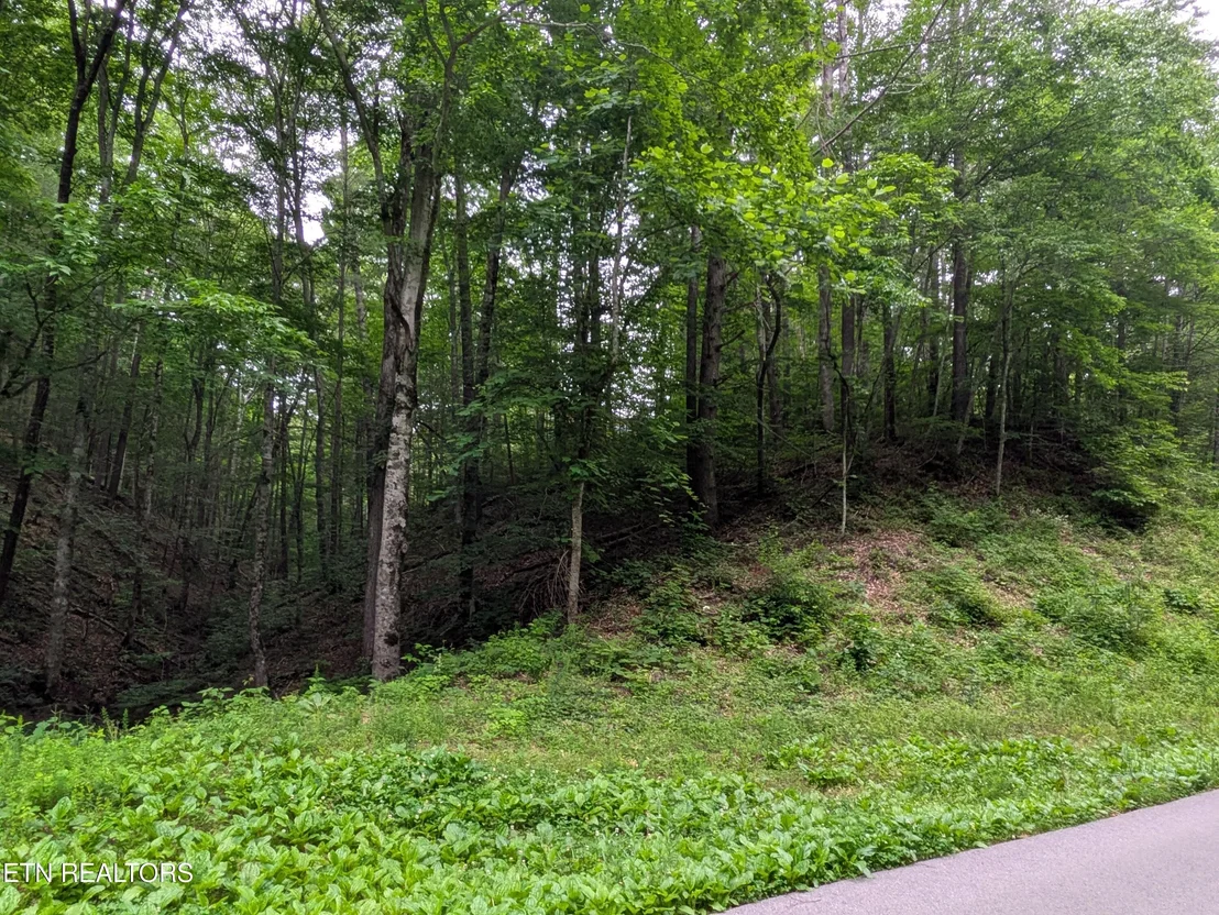 Photo of 438 Kurt's Corner Rd