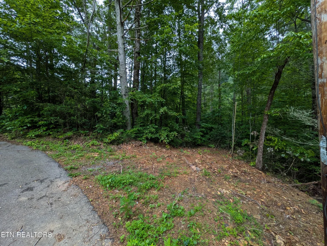 Photo of 438 Kurt's Corner Rd