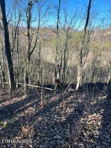 Photo of 2353 Headrick Lead