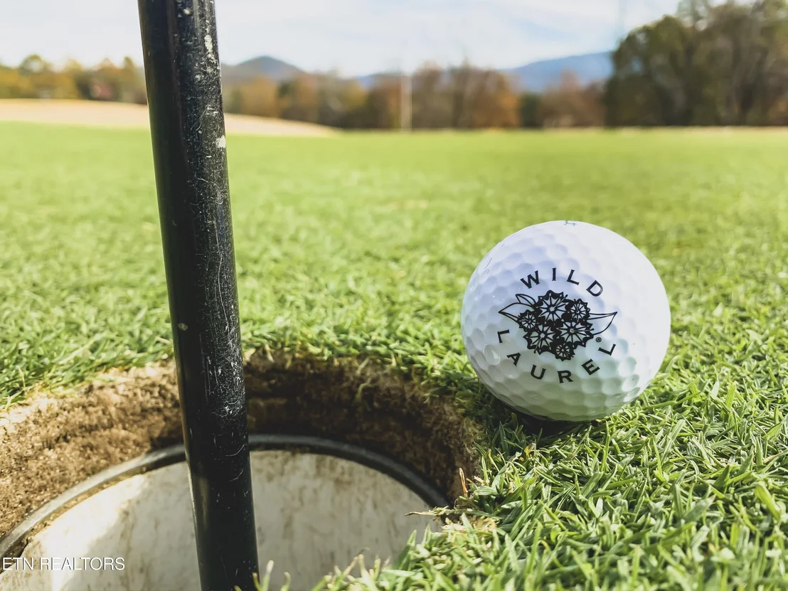 Photo of 196 Cold Springs Trace