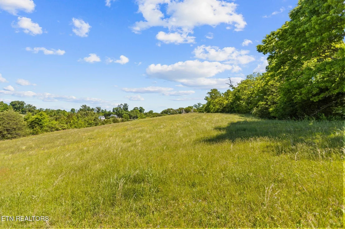 Photo of lot 44 Holston River Drive